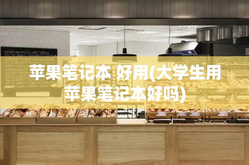 苹果笔记本 好用(大学生用苹果笔记本好吗)-第1张图片-星选测评