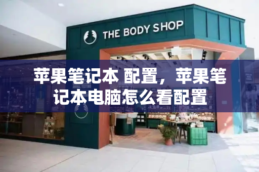 苹果笔记本 配置，苹果笔记本电脑怎么看配置-第1张图片-星选测评