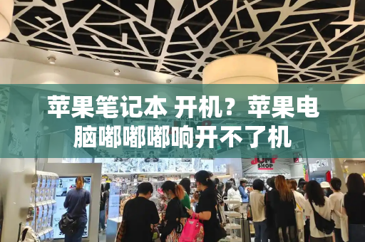 苹果笔记本 开机？苹果电脑嘟嘟嘟响开不了机-第1张图片-星选测评