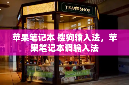 苹果笔记本 搜狗输入法，苹果笔记本调输入法-第1张图片-星选测评