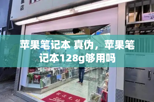 苹果笔记本 真伪，苹果笔记本128g够用吗-第1张图片-星选测评