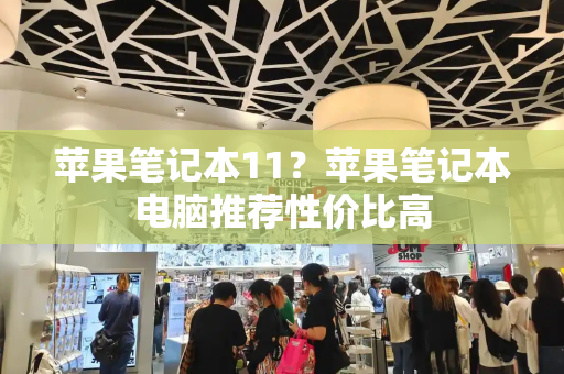 苹果笔记本11？苹果笔记本电脑推荐性价比高