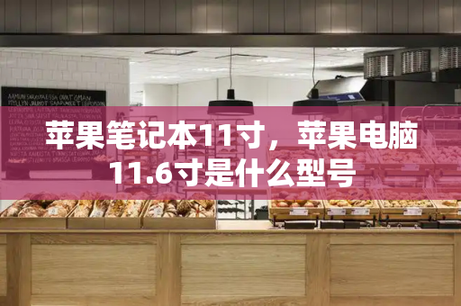 苹果笔记本11寸，苹果电脑11.6寸是什么型号-第1张图片-星选测评