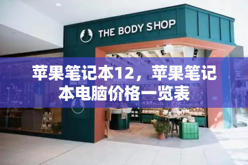 苹果笔记本12，苹果笔记本电脑价格一览表-第1张图片-星选测评