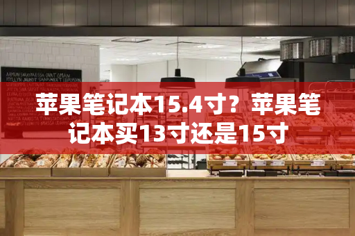 苹果笔记本15.4寸？苹果笔记本买13寸还是15寸-第1张图片-星选测评
