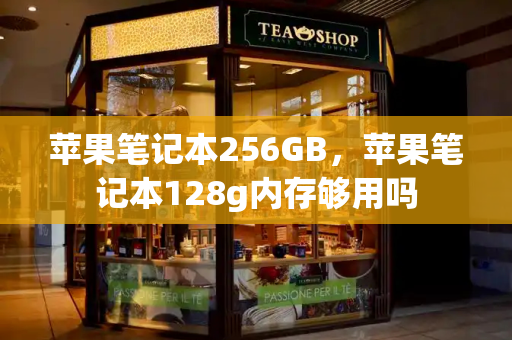 苹果笔记本256GB，苹果笔记本128g内存够用吗