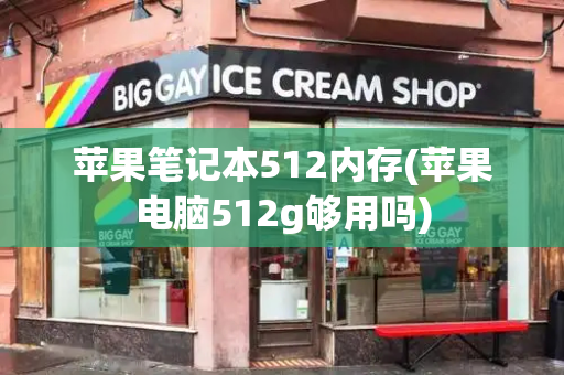 苹果笔记本512内存(苹果电脑512g够用吗)
