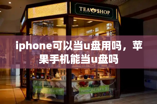 iphone可以当u盘用吗，苹果手机能当u盘吗