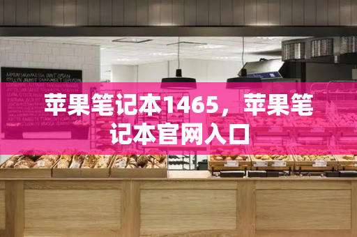 苹果笔记本1465，苹果笔记本官网入口