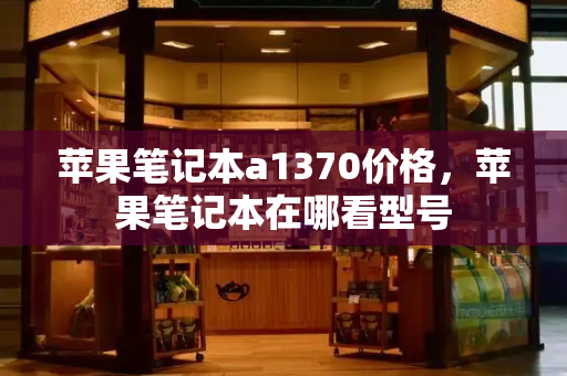 苹果笔记本a1370价格，苹果笔记本在哪看型号-第1张图片-星选测评