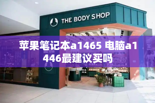 苹果笔记本a1465 电脑a1446最建议买吗