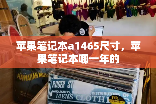 苹果笔记本a1465尺寸，苹果笔记本哪一年的-第1张图片-星选测评