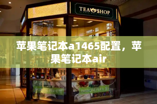 苹果笔记本a1465配置，苹果笔记本air-第1张图片-星选测评