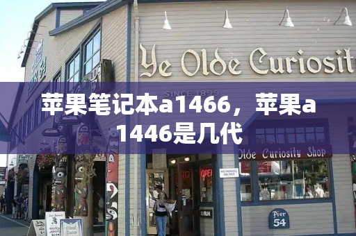 苹果笔记本a1466，苹果a1446是几代