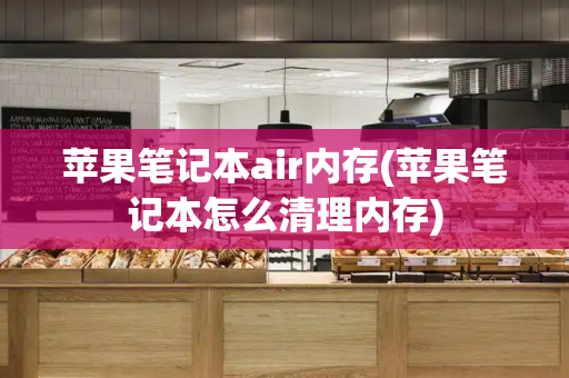 苹果笔记本air内存(苹果笔记本怎么清理内存)-第1张图片-星选测评