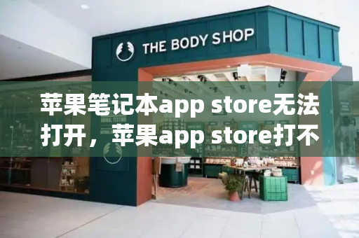 苹果笔记本app store无法打开，苹果app store打不开