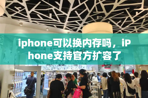 iphone可以换内存吗，iPhone支持官方扩容了-第1张图片-星选测评