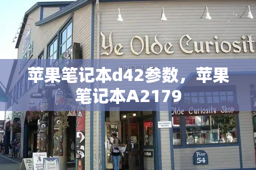 苹果笔记本d42参数，苹果笔记本A2179-第1张图片-星选测评
