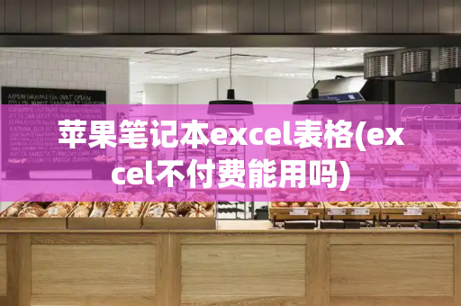 苹果笔记本excel表格(excel不付费能用吗)