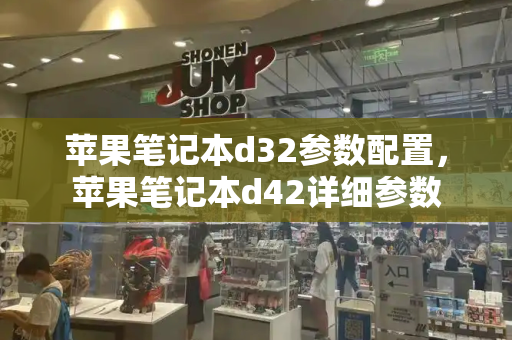 苹果笔记本d32参数配置，苹果笔记本d42详细参数