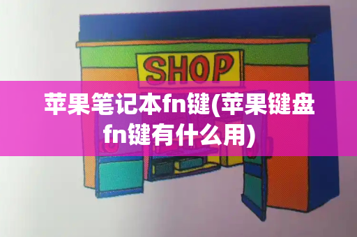 苹果笔记本fn键(苹果键盘fn键有什么用)
