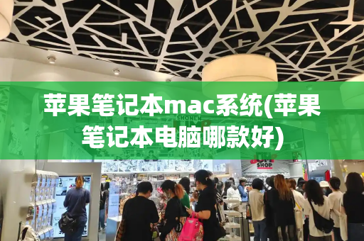 苹果笔记本mac系统(苹果笔记本电脑哪款好)