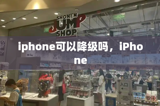 iphone可以降级吗，iPhone-第1张图片-星选测评