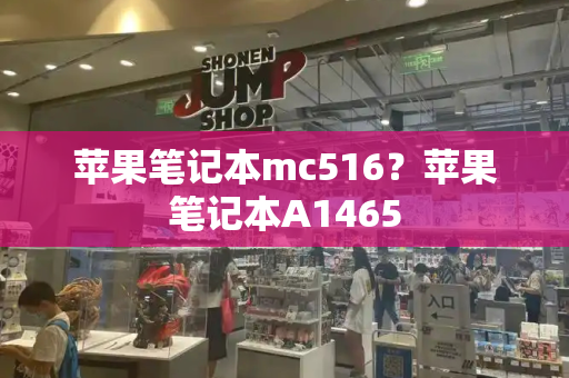 苹果笔记本mc516？苹果笔记本A1465-第1张图片-星选测评