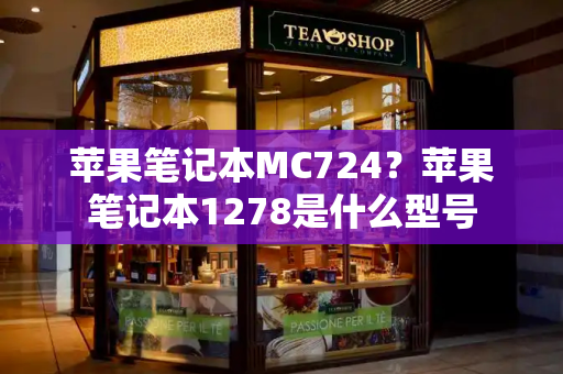 苹果笔记本MC724？苹果笔记本1278是什么型号-第1张图片-星选测评