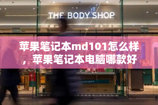 苹果笔记本md101怎么样，苹果笔记本电脑哪款好-第1张图片-星选测评
