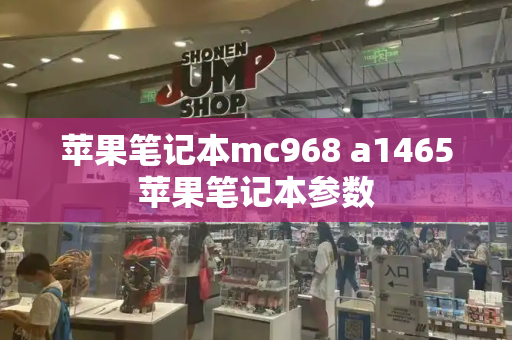 苹果笔记本mc968 a1465苹果笔记本参数