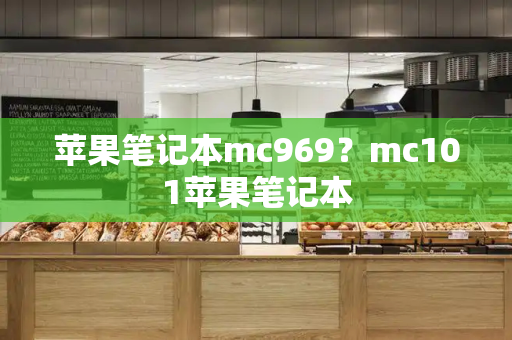苹果笔记本mc969？mc101苹果笔记本-第1张图片-星选测评