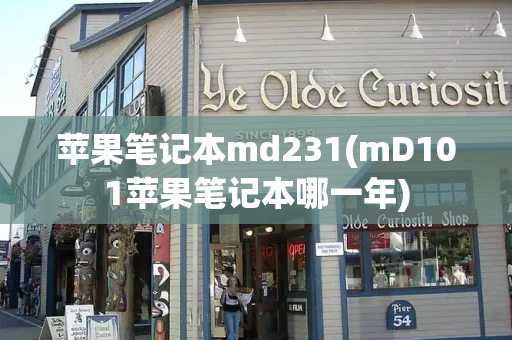 苹果笔记本md231(mD101苹果笔记本哪一年)-第1张图片-星选测评