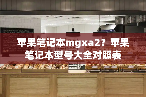 苹果笔记本mgxa2？苹果笔记本型号大全对照表-第1张图片-星选测评
