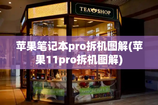 苹果笔记本pro拆机图解(苹果11pro拆机图解)-第1张图片-星选测评