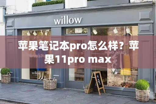 苹果笔记本pro怎么样？苹果11pro max-第1张图片-星选测评