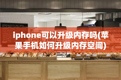 iphone可以升级内存吗(苹果手机如何升级内存空间)-第1张图片-星选测评