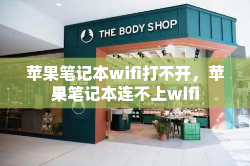 苹果笔记本wifi打不开，苹果笔记本连不上wifi-第1张图片-星选测评