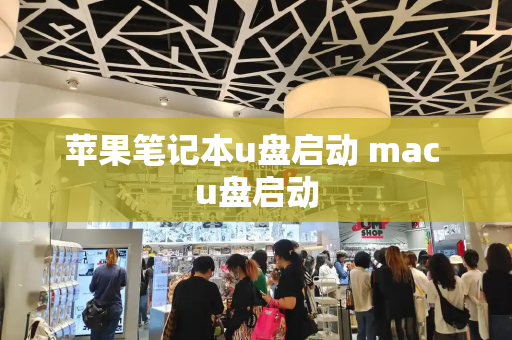 苹果笔记本u盘启动 mac u盘启动