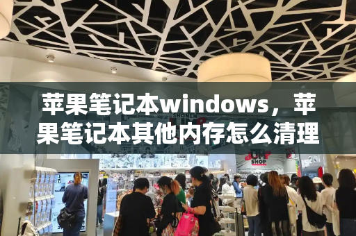 苹果笔记本windows，苹果笔记本其他内存怎么清理垃圾-第1张图片-星选测评