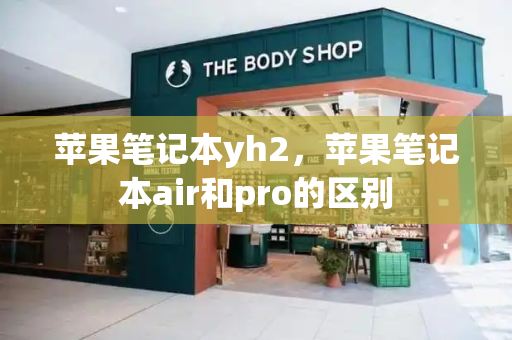 苹果笔记本yh2，苹果笔记本air和pro的区别-第1张图片-星选测评