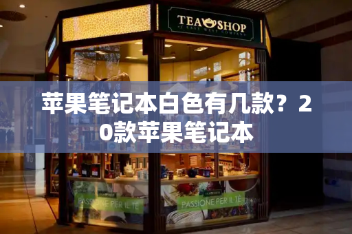苹果笔记本白色有几款？20款苹果笔记本-第1张图片-星选测评