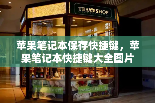 苹果笔记本保存快捷键，苹果笔记本快捷键大全图片