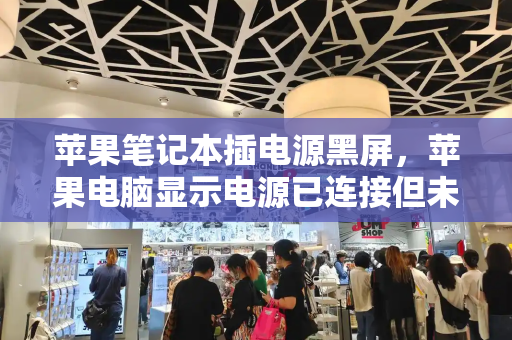苹果笔记本插电源黑屏，苹果电脑显示电源已连接但未充电