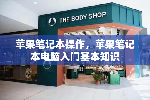 苹果笔记本操作，苹果笔记本电脑入门基本知识-第1张图片-星选测评
