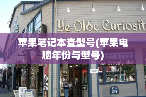 苹果笔记本查型号(苹果电脑年份与型号)-第1张图片-星选测评