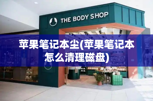 苹果笔记本尘(苹果笔记本怎么清理磁盘)-第1张图片-星选测评