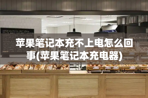 苹果笔记本充不上电怎么回事(苹果笔记本充电器)-第1张图片-星选测评