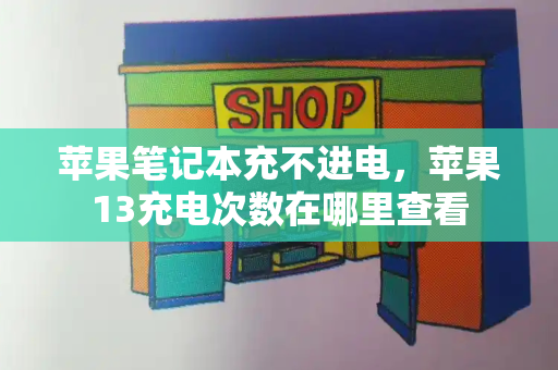 苹果笔记本充不进电，苹果13充电次数在哪里查看