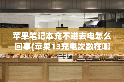 苹果笔记本充不进去电怎么回事(苹果13充电次数在哪里查看)-第1张图片-星选测评